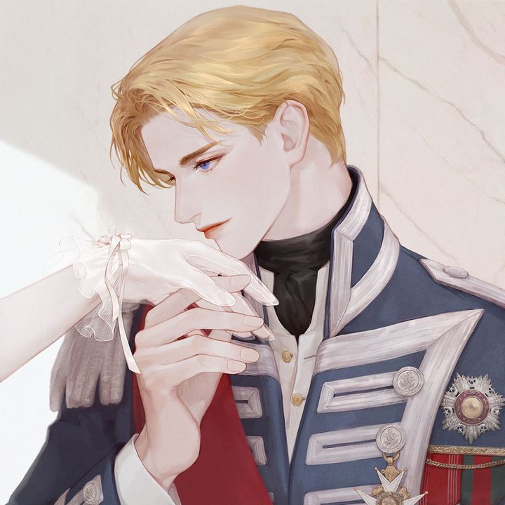 The Noble Pirate Official Novel Manta